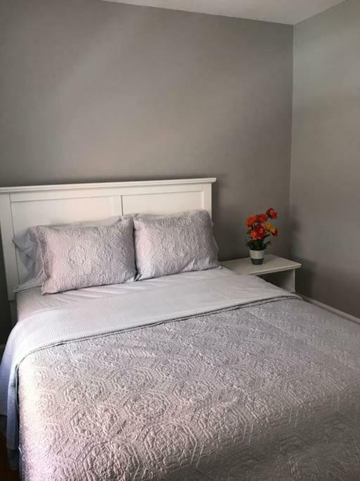Bright, Clean, Private. In The Heart Of Downtown! Parking, Wi-Fi And Netflix Included Apartment Ottawa Luaran gambar